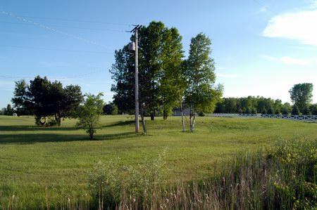 Bay Drive-In Theatre - The Screen Was Near The Trees (newer photo)